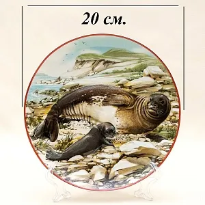 Коллекционная Рельефная Тарелка «ТЮЛЕНИ» Фарфор, Villeroy&Boch Германия -1981 год.