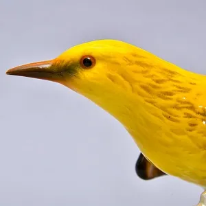 Коллекционная Фарфоровая статуэтка «Птица. ИВОЛГА», GOEBEL Германия, 1972 - 1979 годы.