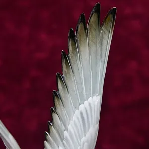 Редкость! Фарфоровая Статуэтка «Птицы - Чайки - Две крачки», Hutschenreuther Германия - 1955 год.