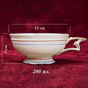 Антикварная Коллекционная Фарфоровая Чайная Тройка «Цветочный орнамент» , Schirnding Porzellan A.G. Германия 1909 - 1925 годы.