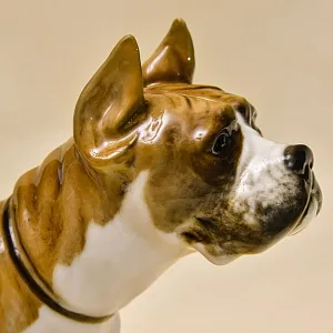 Редкость! Фарфоровая статуэтка  «Собака БОКСЕР», Hutschenreuther Германия, середина ХХ века.