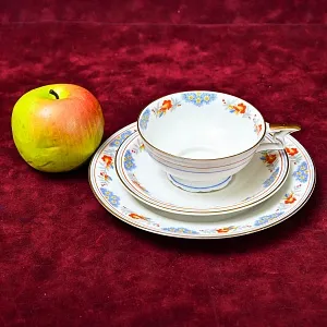 Антикварная Коллекционная Фарфоровая Чайная Тройка «Цветочный орнамент» , Schirnding Porzellan A.G. Германия 1909 - 1925 годы.