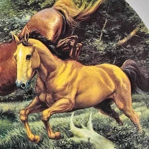 Коллекционная Фарфоровая тарелка «Лошади. Прыжок в пруд», Furstenberg Германия - 1995 год.