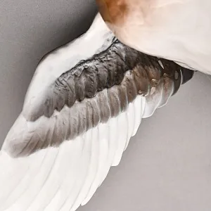 Птица - Фарфоровая Статуэтка «ВЗЛЕТАЮЩИЙ СЕЛЕЗЕНЬ», ROSENTHAL Германия, середина ХХ века.