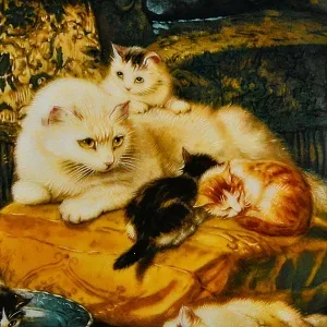 Коллекционная Фарфоровая тарелка «Кошка и котята - Дневные забавы», W.J.GEORGE США - 1991 год.