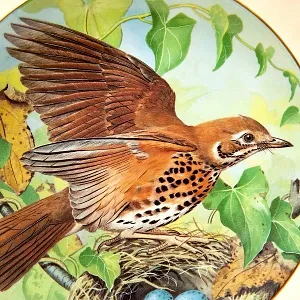Коллекционная Тарелка «Певчий Дрозд» Фарфор Лимож Limoges Франция 1984 год.