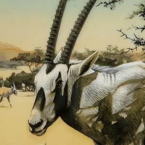 Коллекционная Рельефная Тарелка «АНТИЛОПЫ» Фарфор, Villeroy&Boch Германия -1982 год.