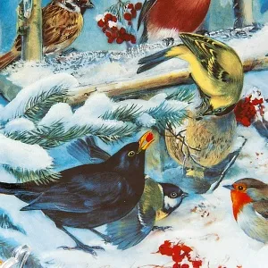 Большое Коллекционное Блюдо - Тарелка «Птицы зимой», Фарфор Hutschenreuther, Германия.