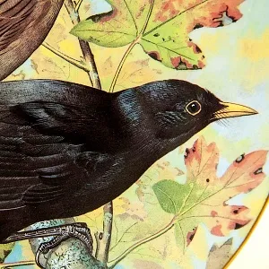 Коллекционная Тарелка «Черный Дрозд» Фарфор Лимож Limoges Франция 1984 год.