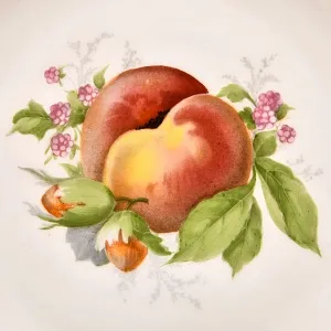 Антикварный Набор из 6-ти Фарфоровых тарелок «ФРУКТЫ-ЯГОДЫ», Rosenthal Германия, 1922- 1933 гг.