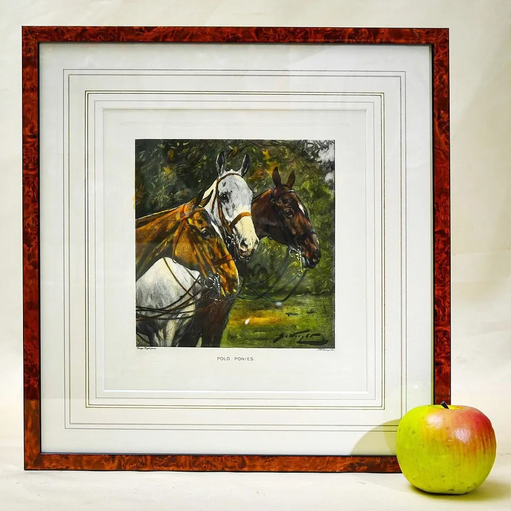 Редкость! Картина - Цветная Гравюра «Лошади - Поло». Thomas ROSS Англия.