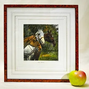 Редкость! Картина - Цветная Гравюра «Лошади - Поло». Thomas ROSS Англия.