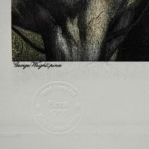 Редкость! Картина - Цветная Гравюра «Лошади - Поло». Thomas ROSS Англия.