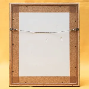 Картина - Литография «Клест» из серии «Птицы Голландии». Nederlandce Vogelen, Голландия.