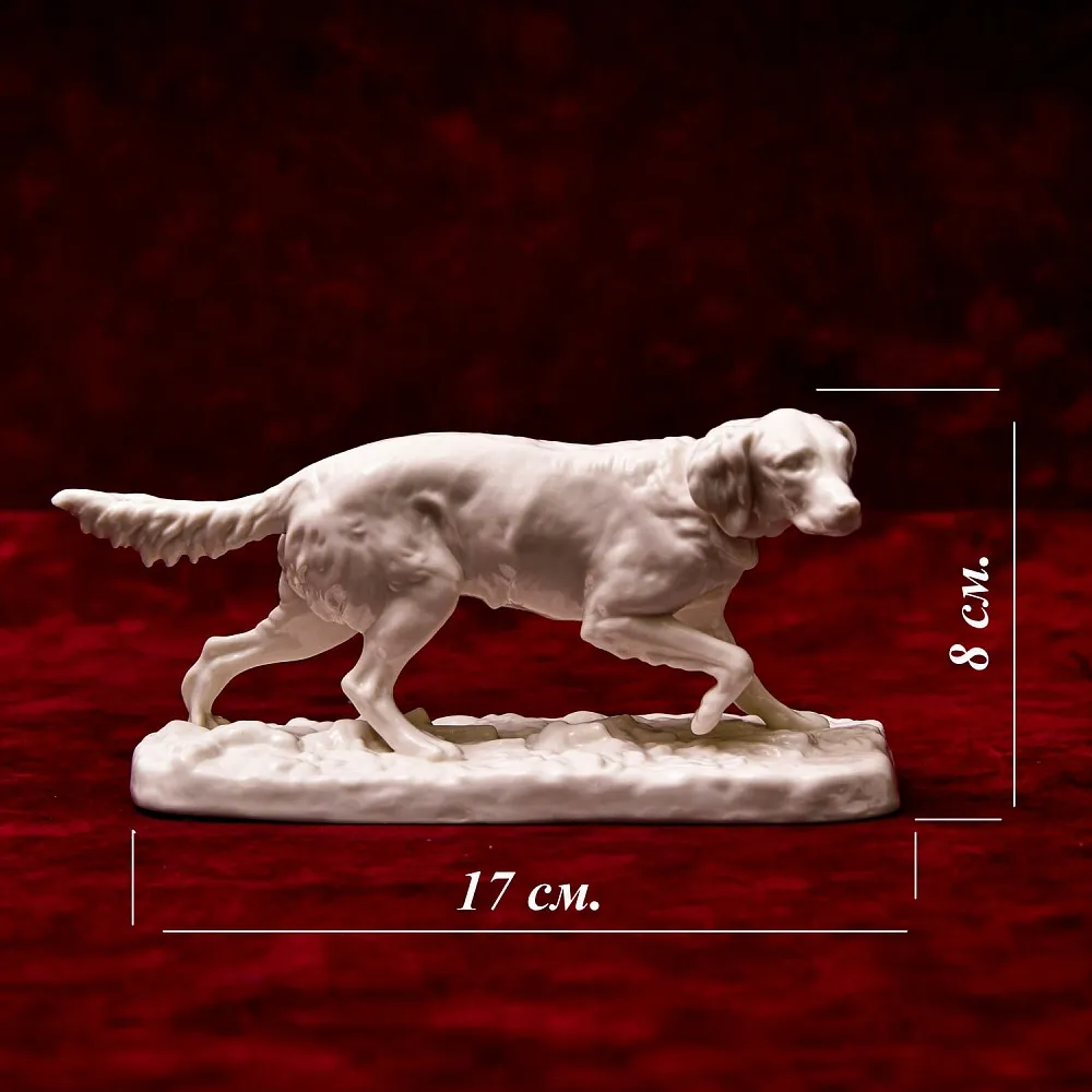 Антикварная Фарфоровая Статуэтка «Охотничья Собака - Сеттер», Nymphenburg, Германия первая половина ХХ века.