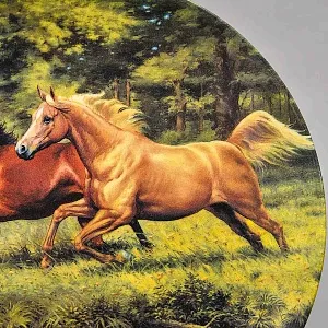 Коллекционная Фарфоровая тарелка «Лошади. Скачки у реки», Furstenberg Германия - 1996 год.