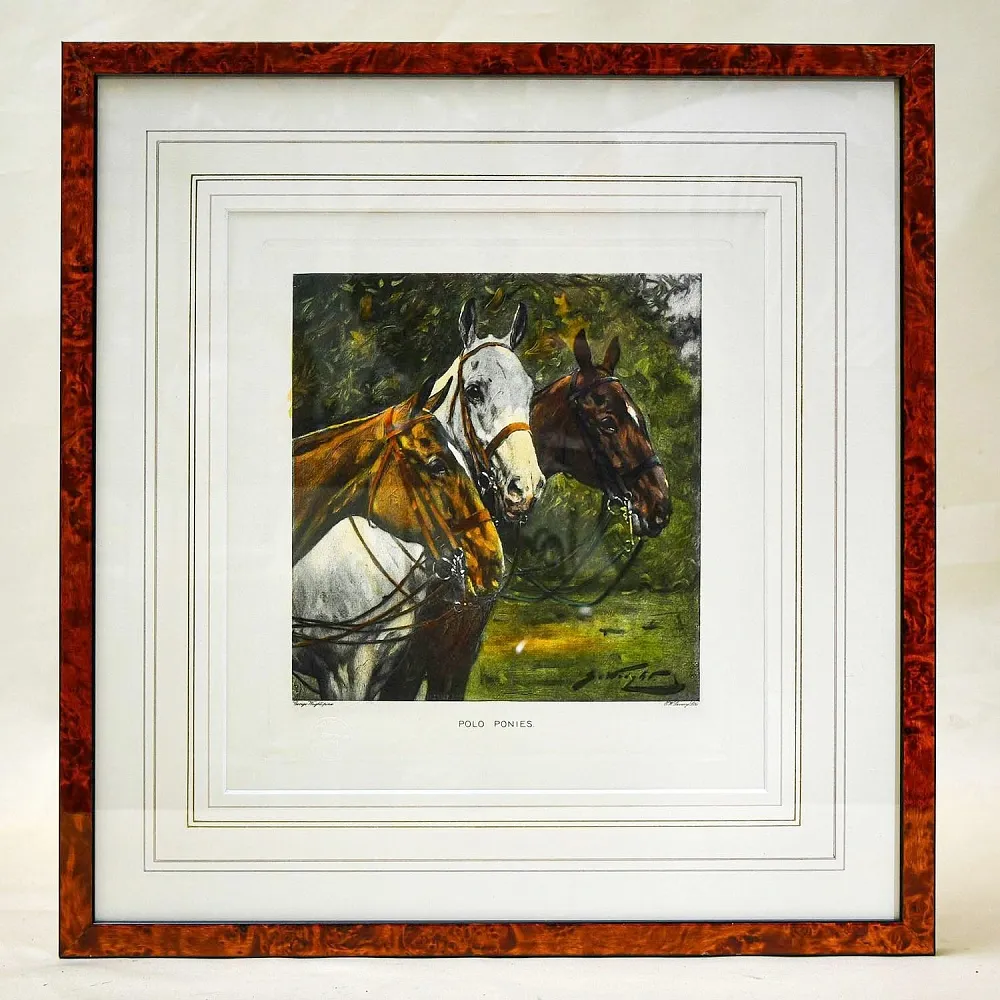 Редкость! Картина - Цветная Гравюра «Лошади - Поло». Thomas ROSS Англия.