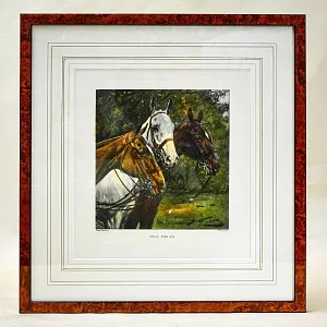 Редкость! Картина - Цветная Гравюра «Лошади - Поло». Thomas ROSS Англия.