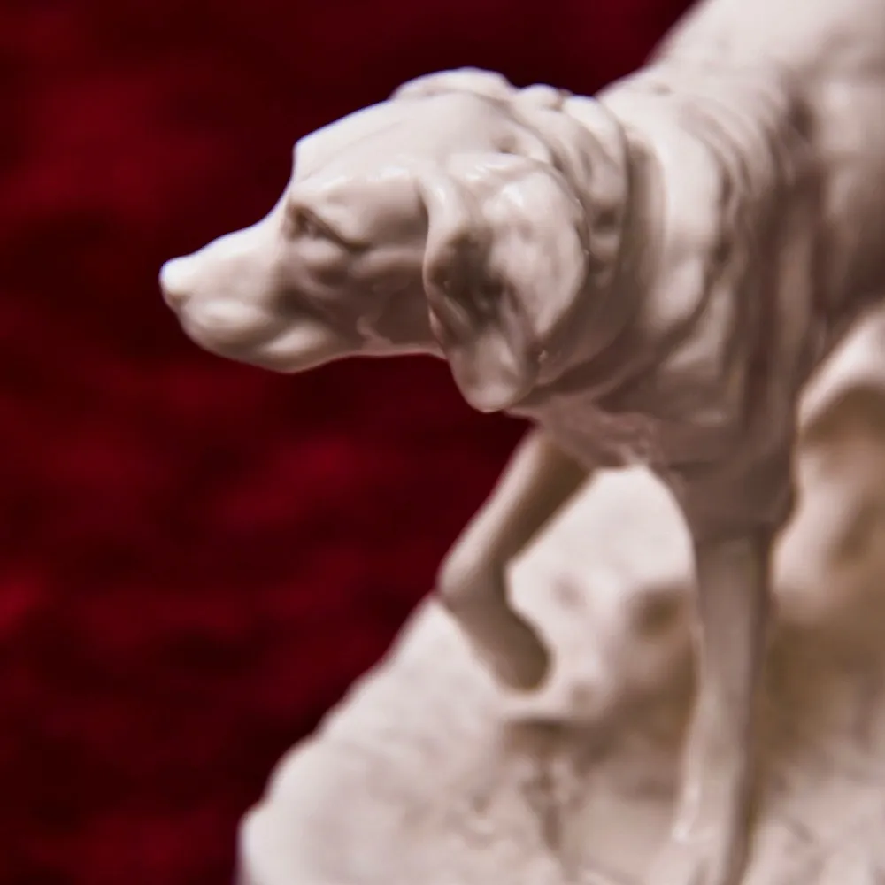 Антикварная Фарфоровая Статуэтка «Охотничья Собака - Сеттер», Nymphenburg, Германия первая половина ХХ века.