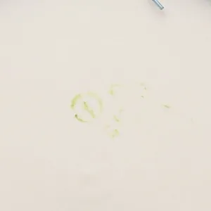 Коллекционная Фарфоровая Тарелка «СТАЛИН И.В.» из серии «Руководители СССР», ДФЗ Вербилки, Россия.