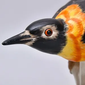 Птица - Фарфоровая статуэтка «Оранжевый Дрозд», Carl Schneiders Erben, Германия -1972 год.