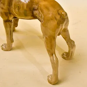 Редкость! Фарфоровая статуэтка  «Собака БОКСЕР», Hutschenreuther Германия, середина ХХ века.