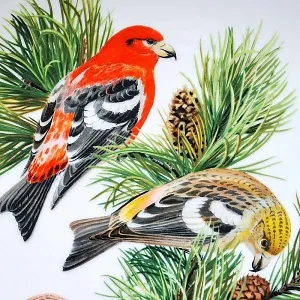 Коллекционная Тарелка - Блюдо «Клест Белокрылый» Фарфор, Franklin Porcelain США - 80-е гг..