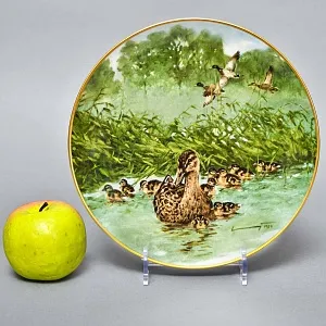 Коллекционная Фарфоровая Тарелка - Блюдо «Дикая Природа. Утиная семья», KAISER Германия. 