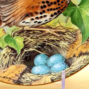 Коллекционная Тарелка «Певчий Дрозд» Фарфор Лимож Limoges Франция 1984 год.