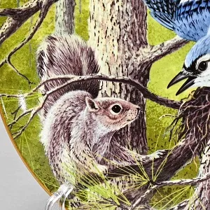 Коллекционная Тарелка «Голубая Сойка - Защита гнезда» Фарфор, Franklin Porcelain США -1983 год.