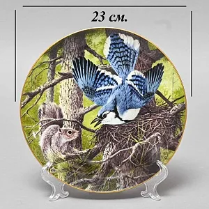 Коллекционная Тарелка «Голубая Сойка - Защита гнезда» Фарфор, Franklin Porcelain США -1983 год.