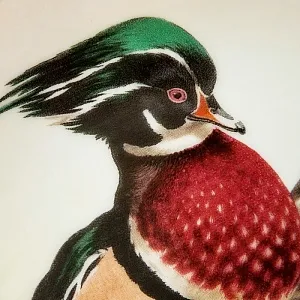 Коллекционная Фарфоровая Тарелка «Лесной Год, ИЮЛЬ. Утки», Англия - 1982 год. 