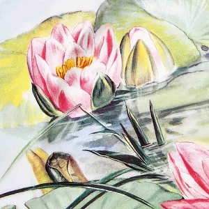 Авторская Фарфоровая Тарелка - Блюдо «Водная лилия Розовая сенсация», Rosenthal Германия - 2000 год. 