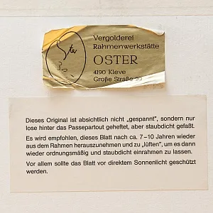 Антикварная Иллюстрация - Гравюра - Картина «Энциклопедия Лепидоптерологии - Бабочки», Германия -1869 год.