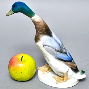 Птица - Фарфоровая Статуэтка «Утка - СЕЛЕЗЕНЬ», ROSENTHAL Германия -1956 год.