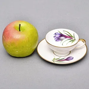 Коллекционная Фарфоровая Кофейная Пара «ИРИСЫ», ROSENTHAL Германия, начало ХХ века.