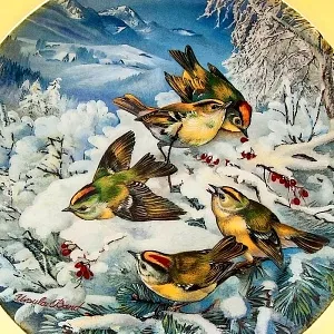 Коллекционная Тарелка «Корольки в лесу» Фарфор, Hutschenreuther, Германия -1992 год.