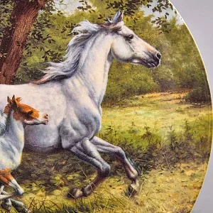 Коллекционная Фарфоровая тарелка «Лошади. Скачки вдоль ручья», Furstenberg Германия - 1995 год.