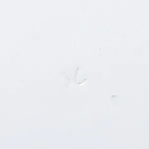 Редкость! Антикварное Блюдо - Тарелка «Охота - Птицы - Лесной Кулик» Фарфор Limoges Франция 20 гг.