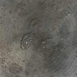 Антикварный Классический Небольшой Оловянный Кофейник на 1,3 литра. Бельгия,  ХIХ век.