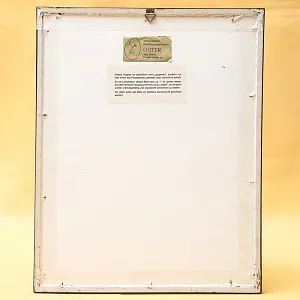 Антикварная Иллюстрация - Гравюра - Картина «Энциклопедия Энтомологии - Бабочки», Германия -1869 год.