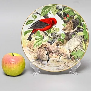 Коллекционная Тарелка «Алая танагра - Учимся летать» Фарфор, Franklin Porcelain США -1983 год.