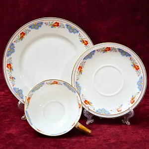 Антикварная Коллекционная Фарфоровая Чайная Тройка «Цветочный орнамент» , Schirnding Porzellan A.G. Германия 1909 - 1925 годы.