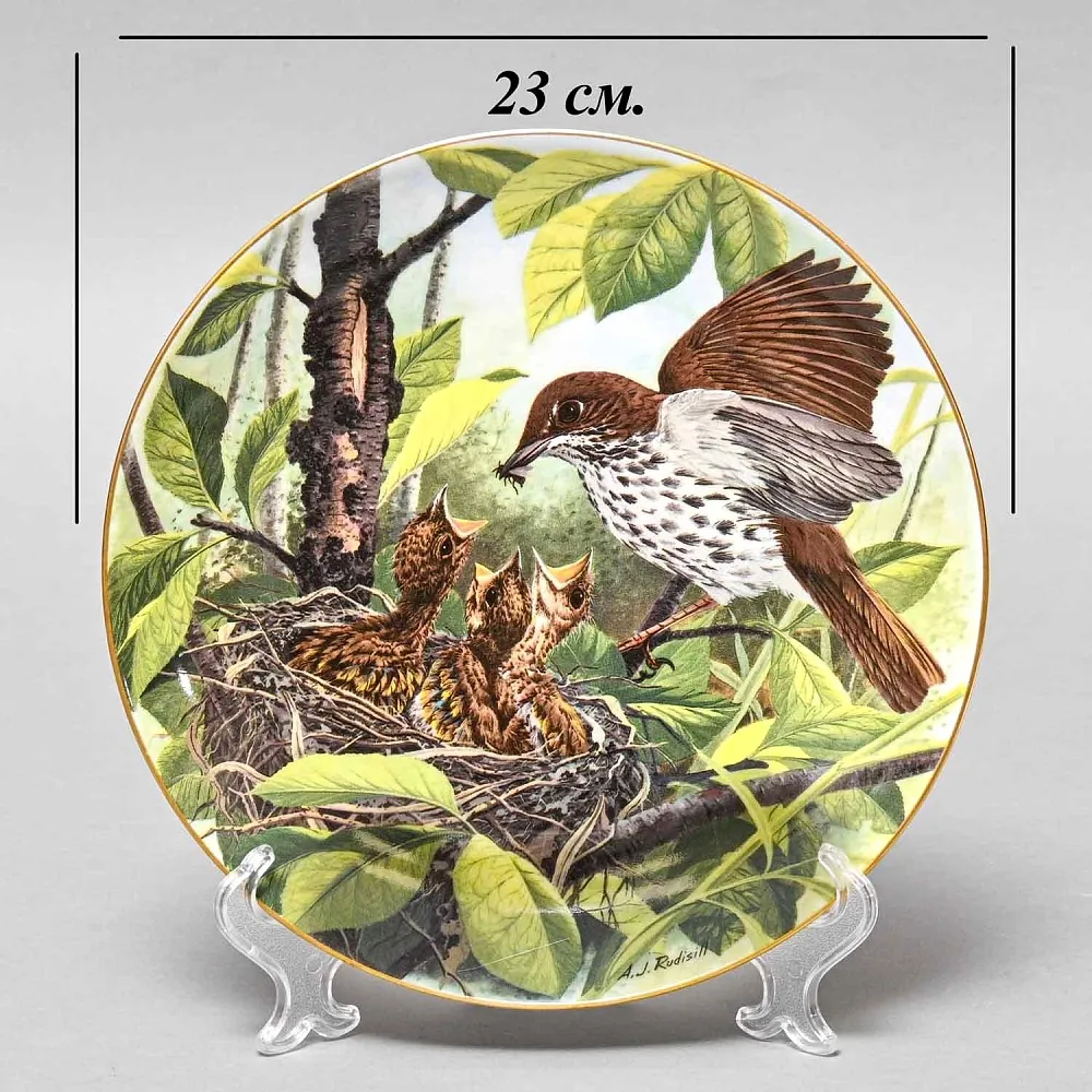 Коллекционная Тарелка «Лесной дрозд - Время кормления» Фарфор, Franklin Porcelain США -1983 год.
