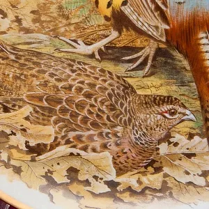 Коллекционная Тарелка «Китайский фазан» Фарфор Лимож Limoges Франция - 1979 год.