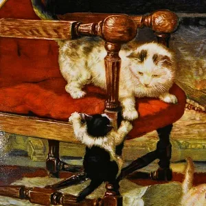 Коллекционная Фарфоровая тарелка «Кошка и котята - Резвые кошки», W.J.GEORGE США - 1991 год.