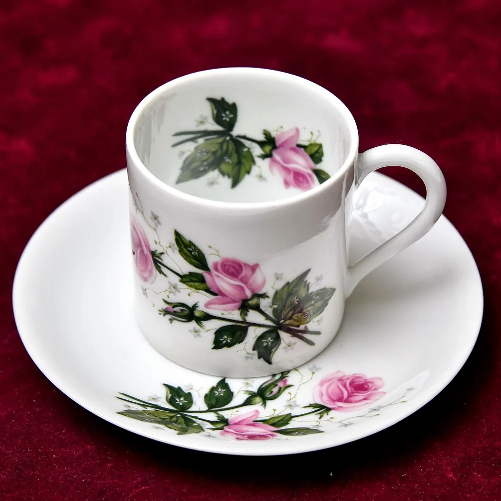 Коллекционная Кофейная Пара «Розовый куст», фарфор Porcelains Champs-Elysees Limoges, Франция.