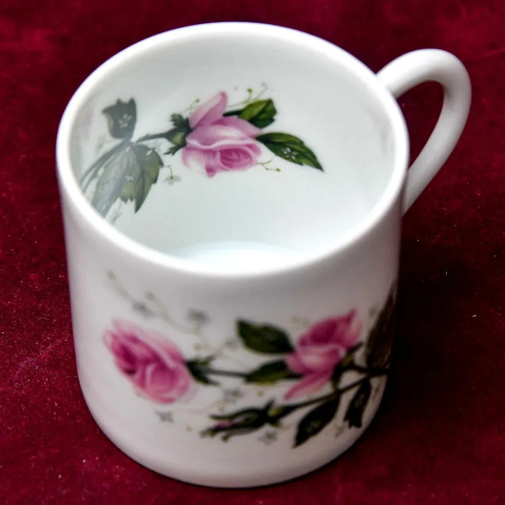 Коллекционная Кофейная Пара «Розовый куст», фарфор Porcelains Champs-Elysees Limoges, Франция.