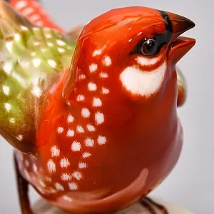  Коллекционная Фарфоровая статуэтка «Птица. Астрильд тигровый», Hutschenreuther Германия.