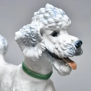 Коллекционная Фарфоровая статуэтка «Собака. ПУДЕЛЬ в зеленом ошейнике», ROSENTHAL Германия.